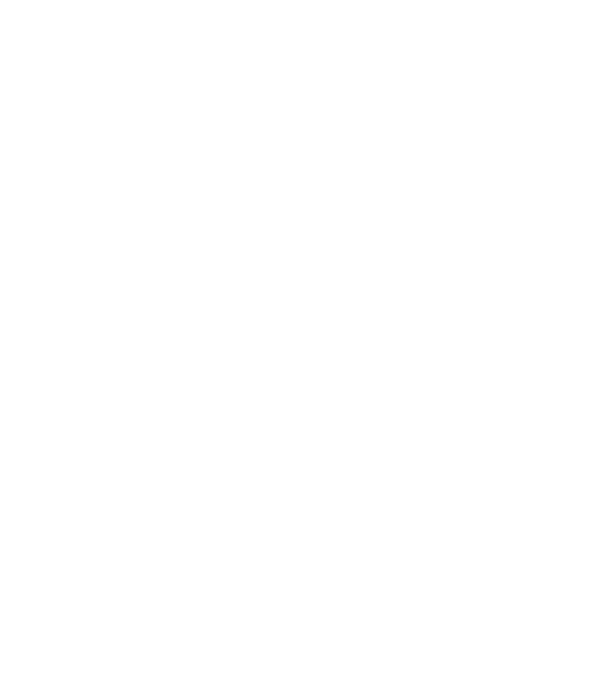 Logo Moinboards